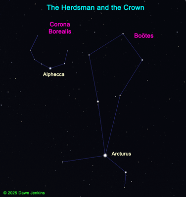 The Herdsman and the Crown