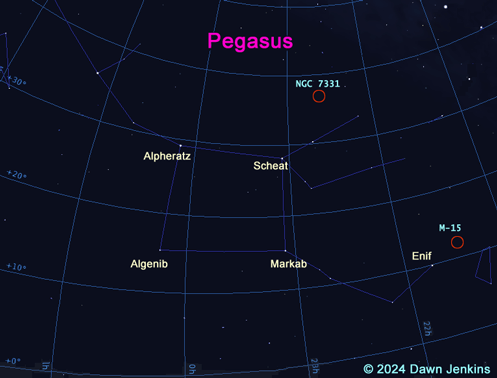 The constellation of Pegasus against a celestial grid