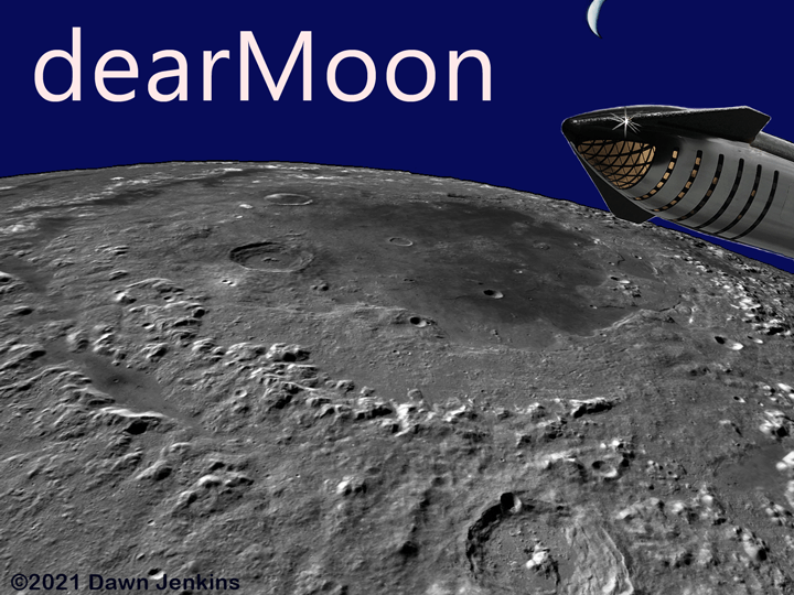 Dear Moon collage