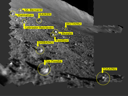 Rocks identified on the Moon with SLIM's multi-band camera