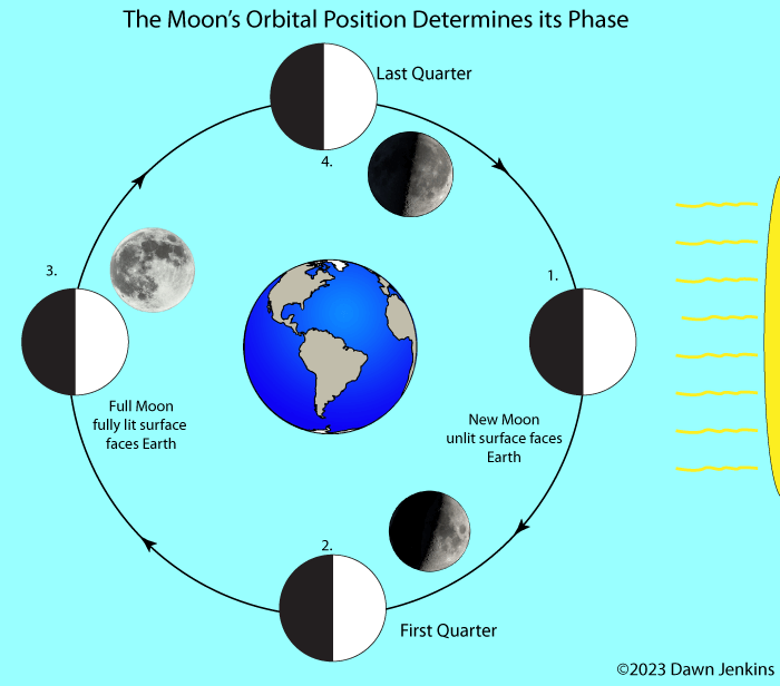 How the Moon's orbit causes phases